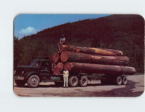 Postcard douglas fir logs - postcard,
