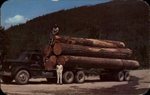 Washington oregon douglas fir - washington,