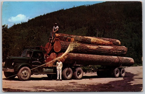 Classic truck with douglas fir - with,